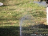 senlinpark-8
