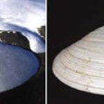 空间结构形态学的研究现状