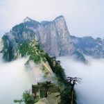 一年又一年的这三年2020~2022